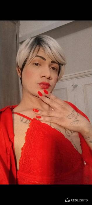 Paloma (Foto)