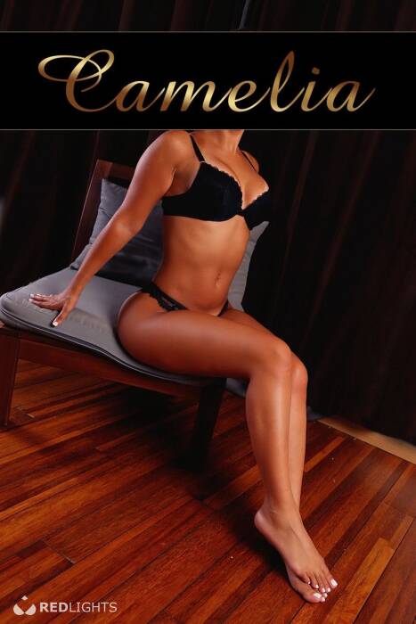Camélia (Foto)