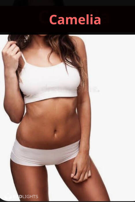 Camélia (Foto)