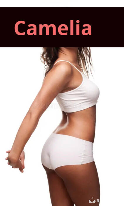 Camélia (Foto)