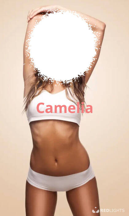 Camélia (Foto)