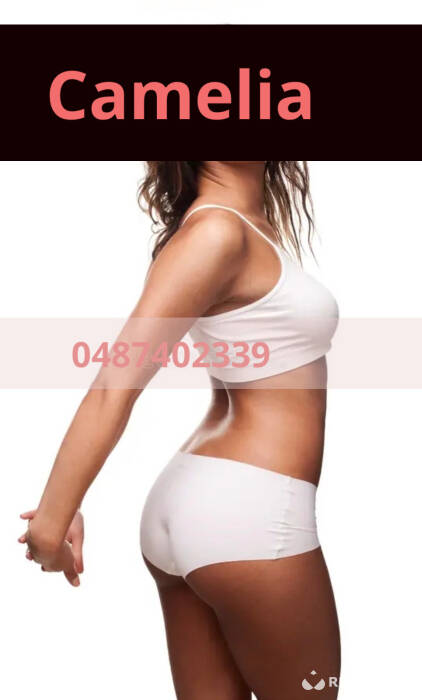 Camélia (Foto)