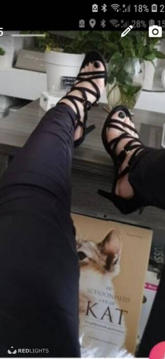 Cat (Foto)