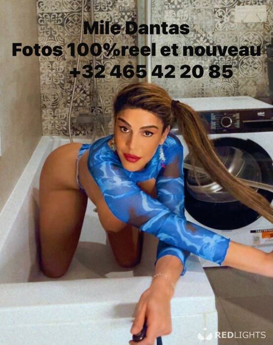 Mile Dantas (Foto)