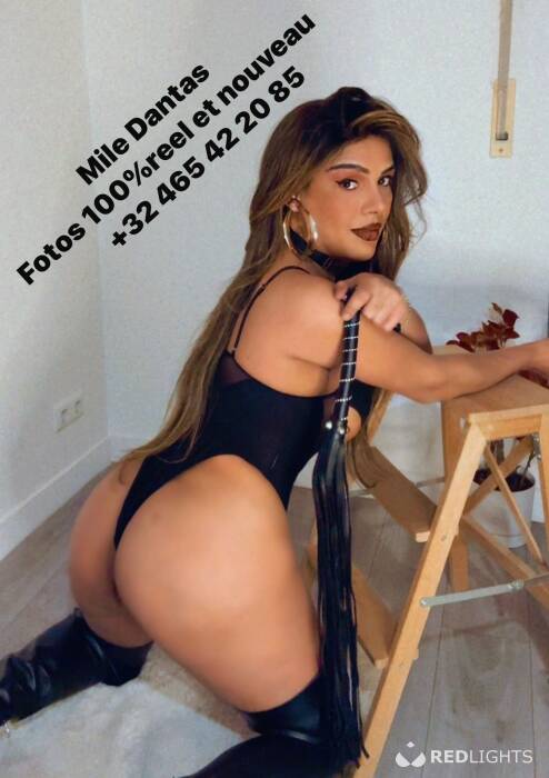 Mile Dantas (Foto)