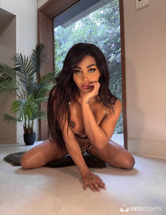 Mistress Party TS (Foto)