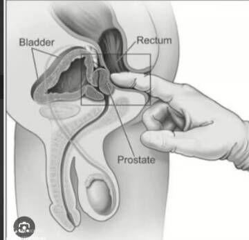 Massothrapeute  Carla (Foto)