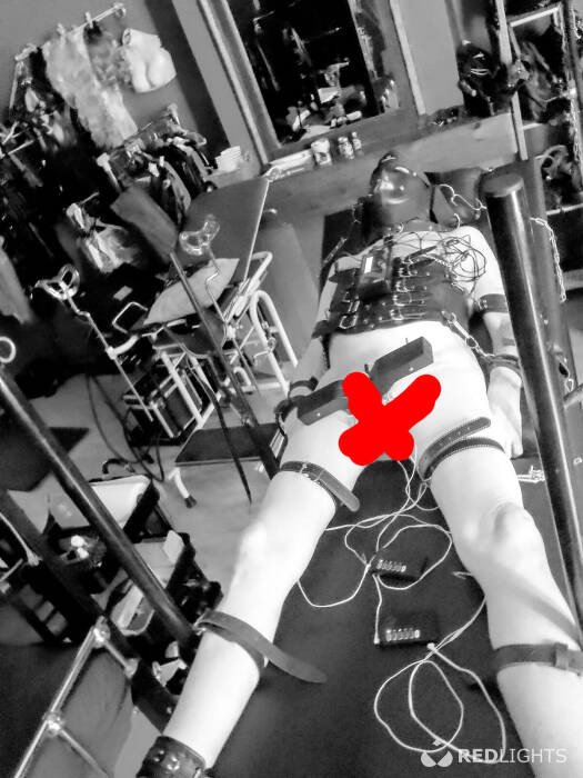 Mistress Niki (Foto)