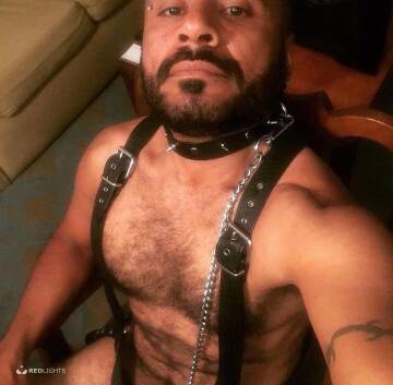 Roberto Martinez (Foto)