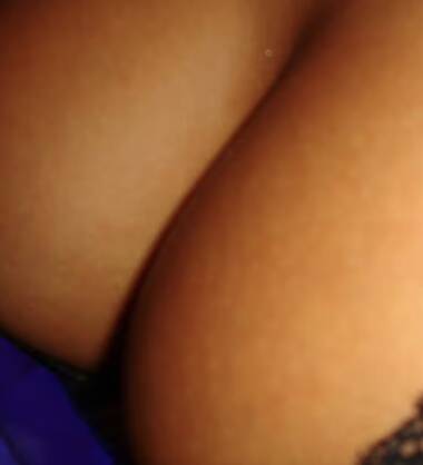 Geile nederlandsche demi