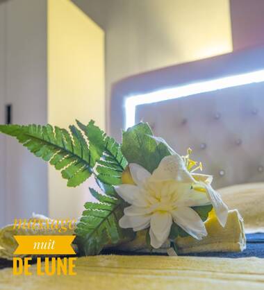 Nuit de lune