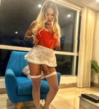TRANS  LATINA