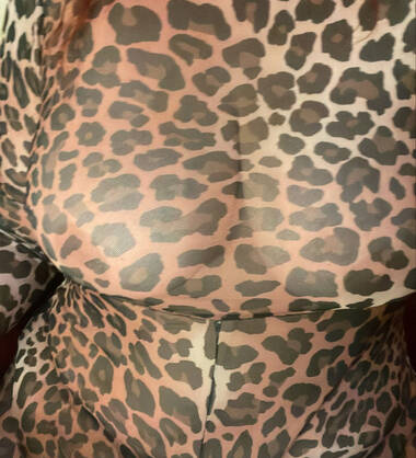 cougarfantasy (virtueel)