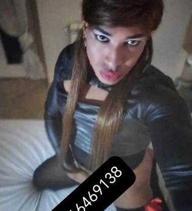 TAMARA THE STALLIONS