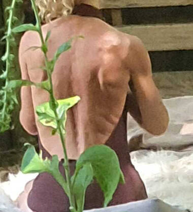 Starfucked