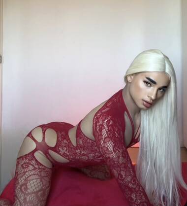 Greisy