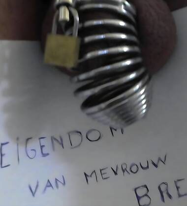 Godin Brenda