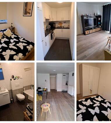 Apartament zee