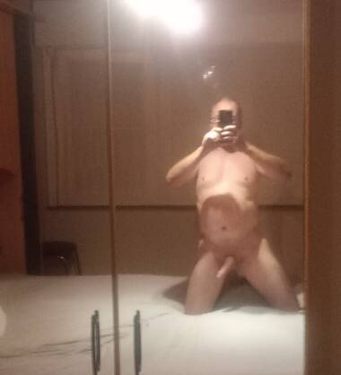 Stallion