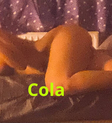 Cola
