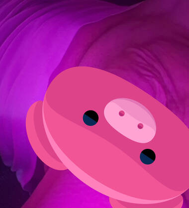 Steven