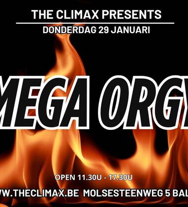 DO 29/01 * MEGA ORGY *