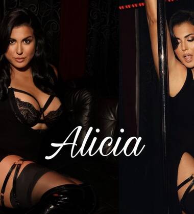 Trans Antwerpen Nieuw Zuid