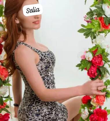 BELLE UNIQUE (MEISE 1860)