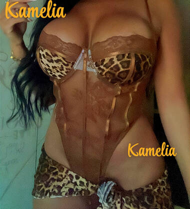 Kamelia Marokkaans