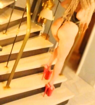 ONGEREMDE POES ZOEKT GEILE KATER