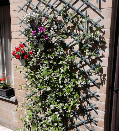 GOEDKOOPSTE CHAUFFEUR