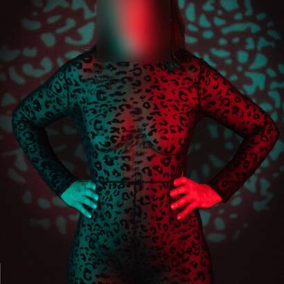 MEREL DEWIT BETAALBARE KLASSE