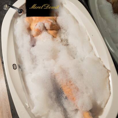 MEREL DEWIT BETAALBARE KLASSE