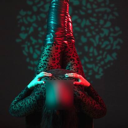 MEREL DEWIT BETAALBARE KLASSE