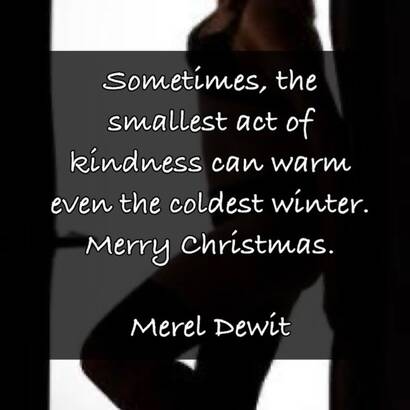 MEREL DEWIT BETAALBARE KLASSE