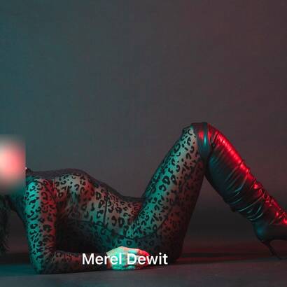 MEREL DEWIT BETAALBARE KLASSE