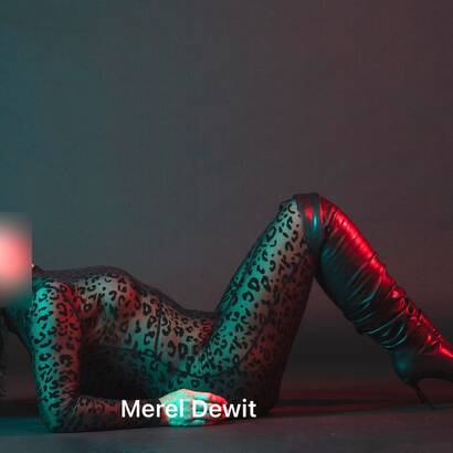 MEREL DEWIT BETAALBARE KLASSE