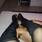 JULIA _REAL ; )