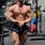 VIP male companion
