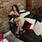 Jhoanna moi anal xxx