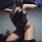 Sharickdominatrixsexxx