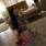 Aylin