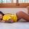Bruna