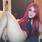 Ariel