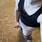 devid