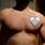 Jonge_heer