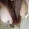 lorena
