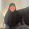 Dounia