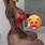 Nicolle