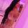Tayra